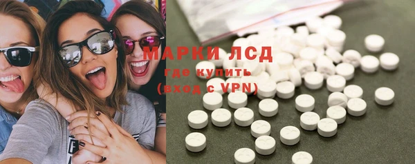 стафф Алзамай