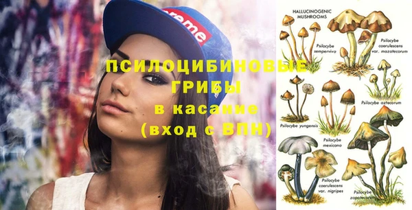 стафф Алзамай