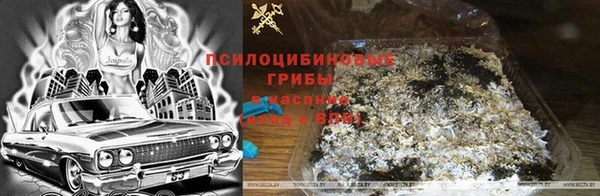 ГАЛЛЮЦИНОГЕННЫЕ ГРИБЫ Алексин