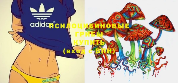 ГАЛЛЮЦИНОГЕННЫЕ ГРИБЫ Алексин