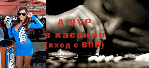 стафф Алзамай