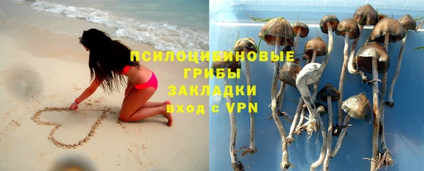 ALPHA-PVP Алексеевка